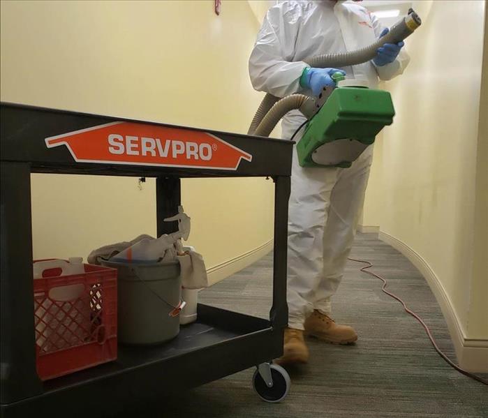 SERVPRO employee in PPE